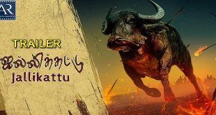 Jallikattu