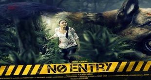 No Entry