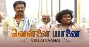 Vellaiyanai
