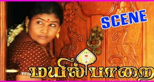 Mayil Paarai