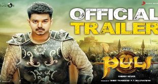 Puli
