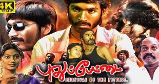 Pudhupettai