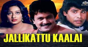 Jallikattu Kaalai