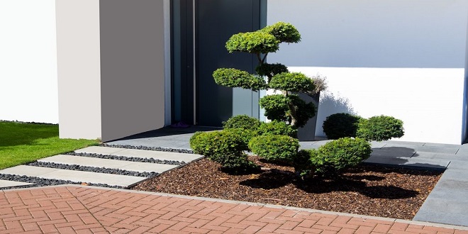 Cheap simple front yard landscaping ideas